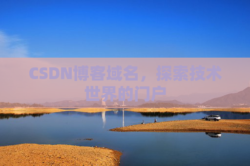 CSDN博客域名，探索技术世界的门户